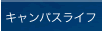LpXCt